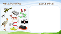 Living and nonliving things powerpoint download for teachers